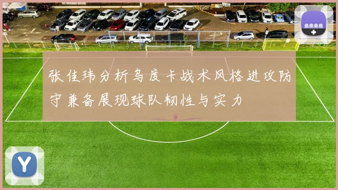 张佳玮分析乌度卡战术风格进攻防守兼备展现球队韧性与实力