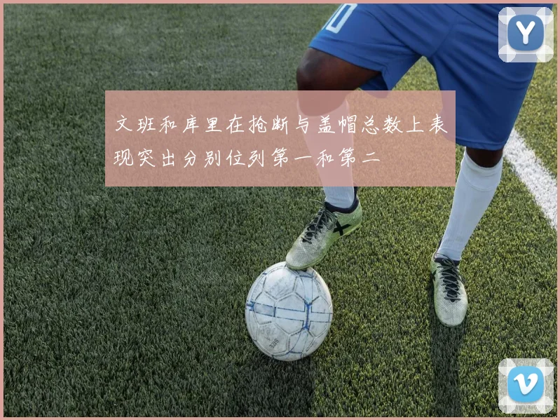 文班和库里在抢断与盖帽总数上表现突出分别位列第一和第二